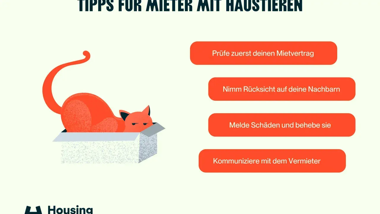 Tipps für Mieter mit Haustieren: Prüfe deinen Mietvertrag, sei rücksichtsvoll. Darf ein Vermieter Haustiere verbieten? Kommuniziere offen.