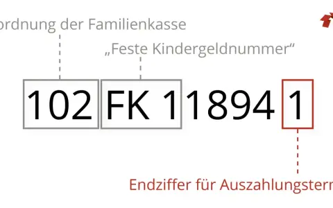 Die Zuordnung der Familienkasse zeigt eine "Feste Kindergeldnummer". Jedes Kind hat eine eigene Kindergeldnummer, die aus mehreren Ziffern besteht. Die letzte Ziffer bestimmt den Auszahlungstermin.