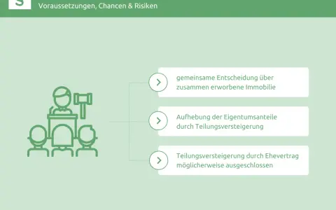 Grafik erklärt die Teilungsversteigerung bei Scheidung: gemeinsame Entscheidung, Aufhebung von Eigentumsanteilen oder Ausschluss durch Ehevertrag.